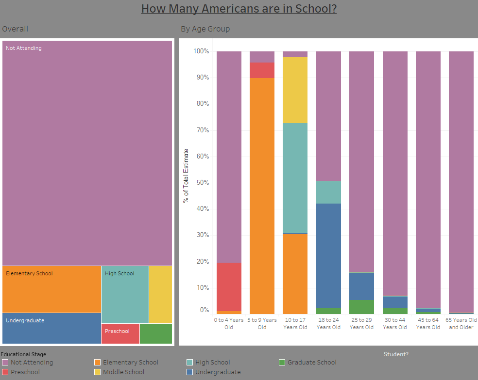 How Many Americans are in School